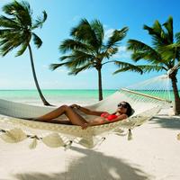 Отзыв от Светлана - DTV виза